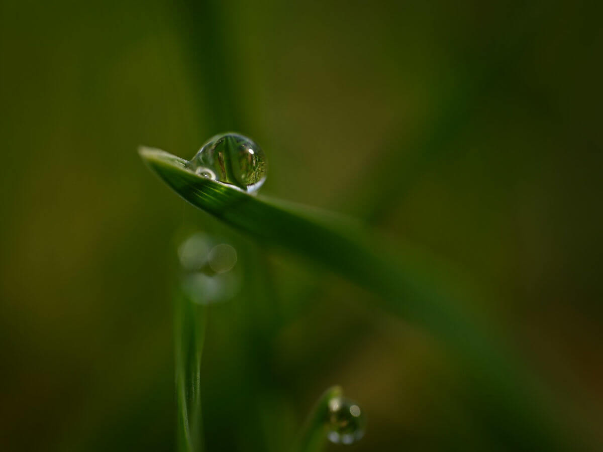 Gelassenheit & Innere Ruhe Ein perfekter Wassertropfen, der auf einem Blatt balanciert und symbolisch für Gelassenheit und innere Ruhe steht.