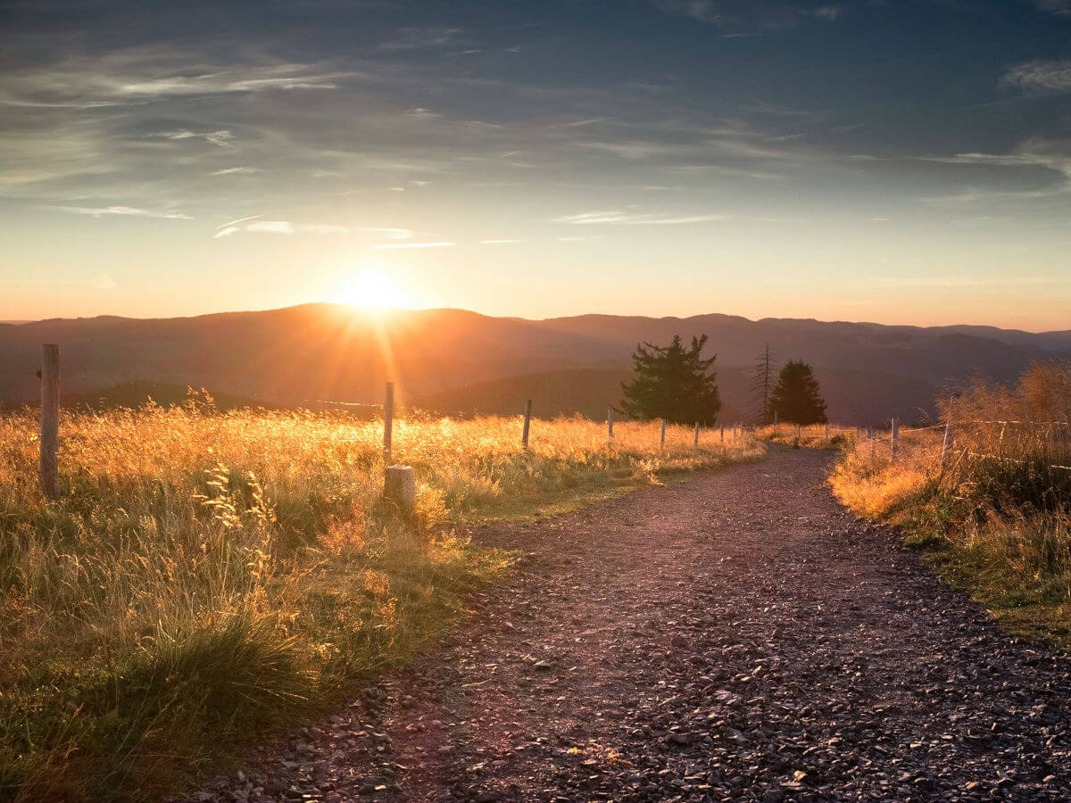 Neue Klarheit & Lebensfreude Ein Weg, der in der Natur zu einem hellen Sonnenaufgang führt, als Symbol für Neuorientierung und neue Klarheit im Leben.